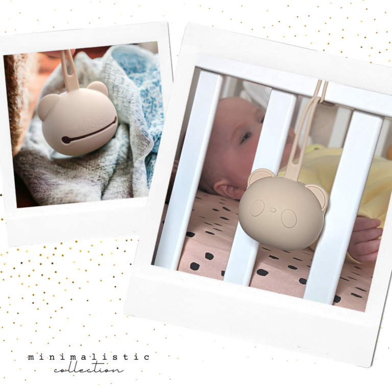 Silicone Dummy Case & Soother Pod Earth Infatot