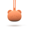 Silicone Dummy Case & Soother Pod - Earth