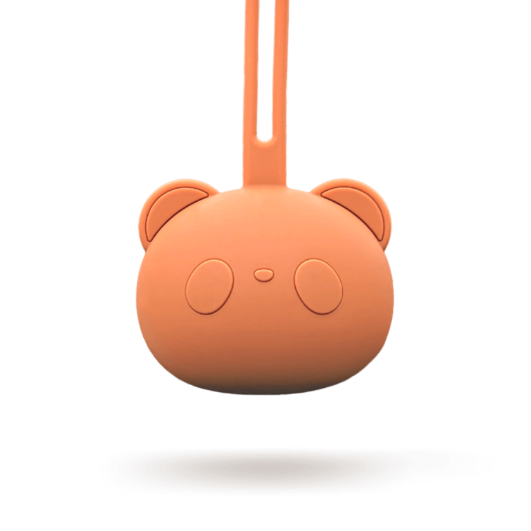 Silicone Dummy Case & Soother Pod Earth Infatot