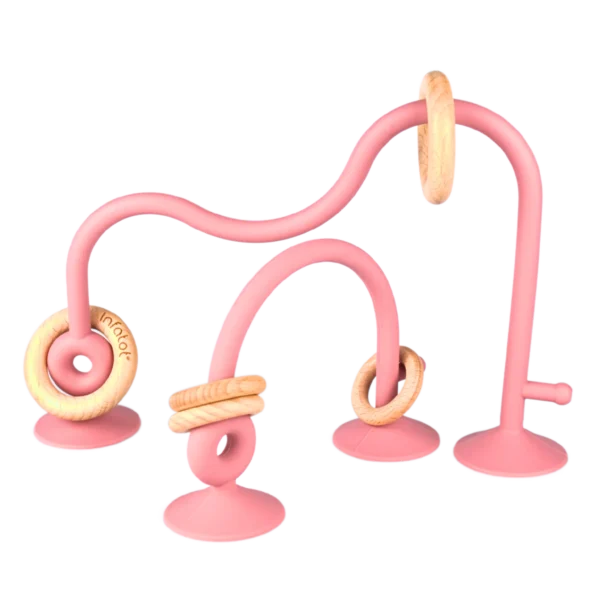 Suction Toy